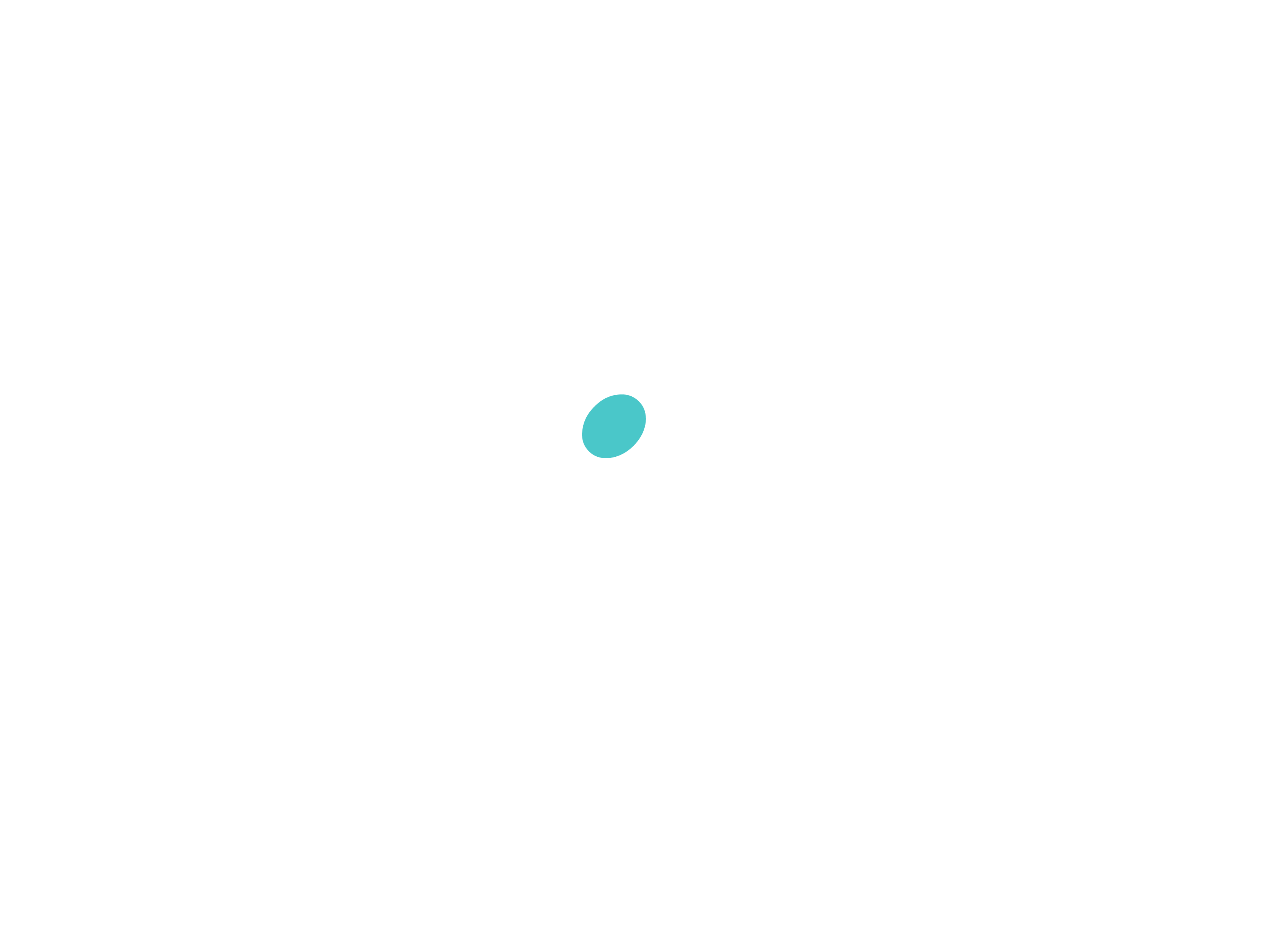 Exido Global Solutions Logo